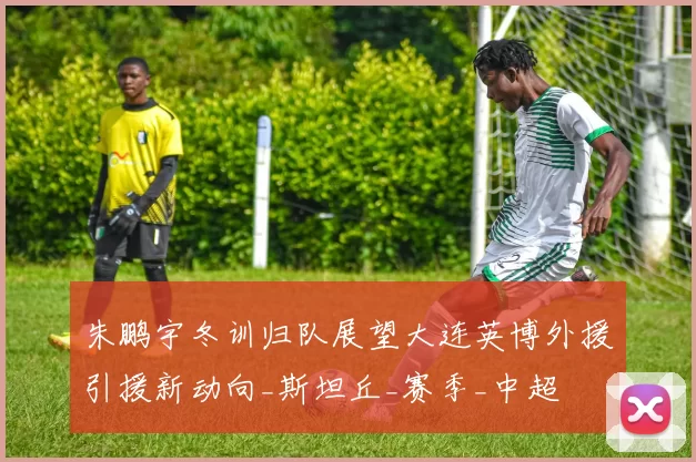 朱鹏宇冬训归队展望大连英博外援引援新动向_斯坦丘_赛季_中超