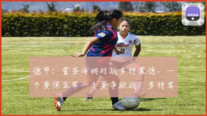 德甲：霍芬海姆对战多特蒙德，一个要保亚军一个要争欧战，多特客场战绩好历史也占优，比分预测_比赛_欧冠_莱比锡红牛