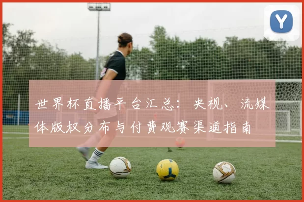 世界杯直播平台汇总：央视、流媒体版权分布与付费观赛渠道指南