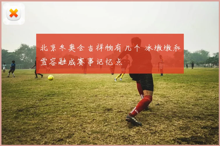 北京冬奥会吉祥物有几个 冰墩墩和雪容融成赛事记忆点